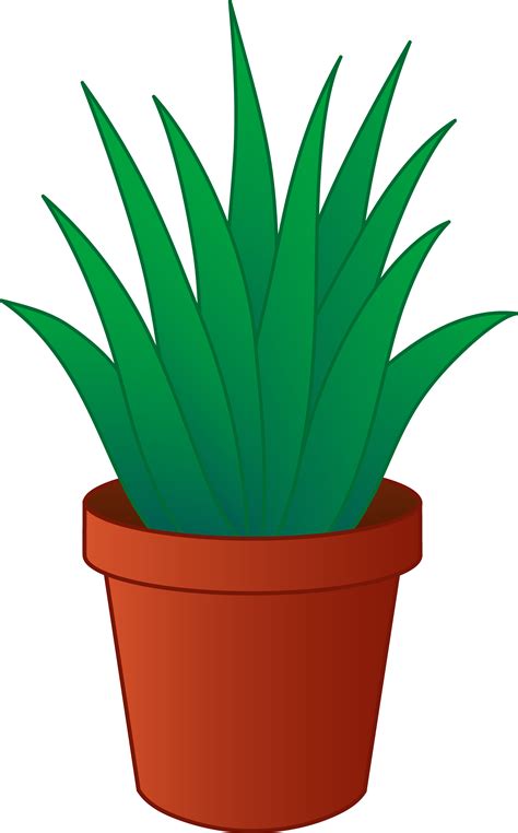 clip art of a plant